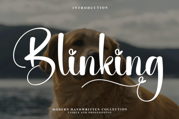 Blinking: A Modern Script for Elegant Visual Design